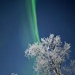Trivelig I Senja. Senja