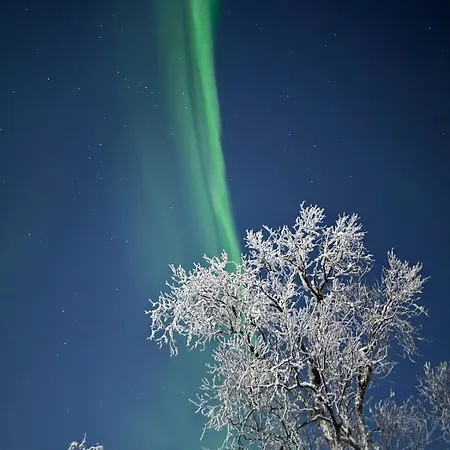 Trivelig I Senja. Senja